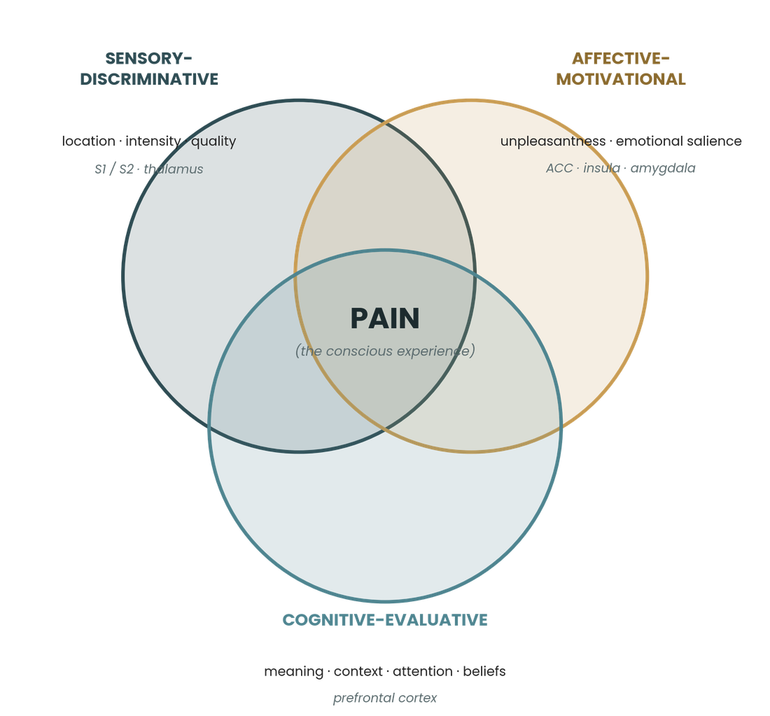 Diagram of the three interacting dimensions of pain: sensory-discriminative, affective-motivational, and cognitive-evaluative, overlapping to produce the conscious experience of pain