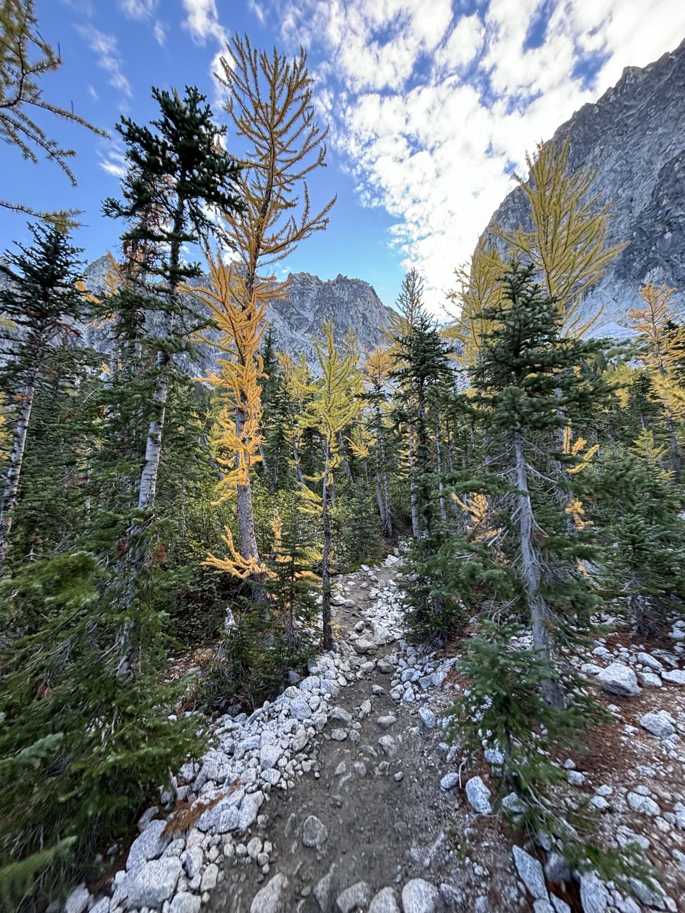 Trail winding through larch trees toward a granite peak near Bellingham, WA