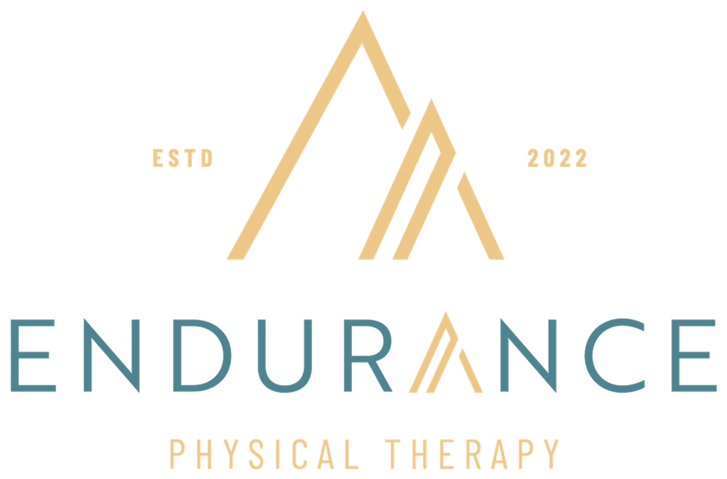 Endurance Physical Therapy